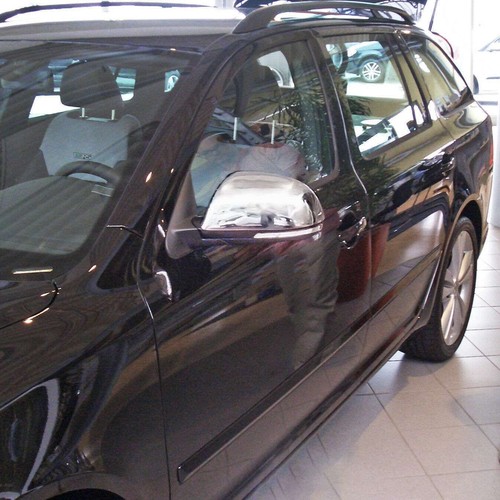 Calotte specchietti acciaio - calotte,