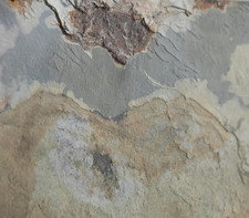 - Confezione Da 5 Pannelli