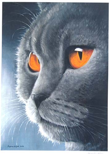 British blue shorthair cat art - shorthair,