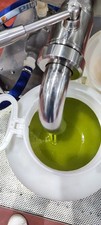 5 litri OLIO EXTRAVERGINE DI