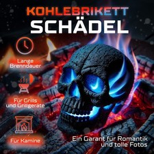 Bricchetti Barbecue a Forma di