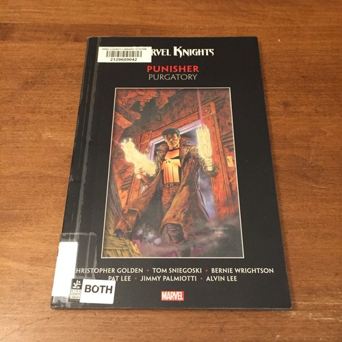 Marvel knights punisher - marvel,