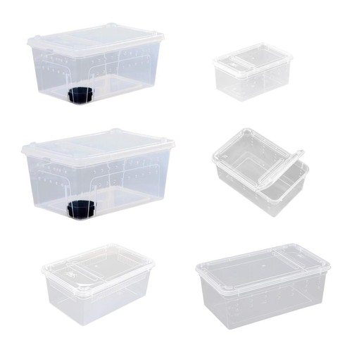 Reptile breeding case - reptile,