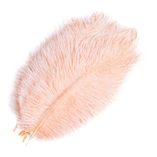 Hqdeal pezzi piuma - 10,