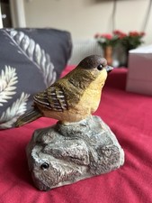 Batterie da giardino che canta