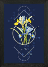 Quadro Stampa su Tela Poster