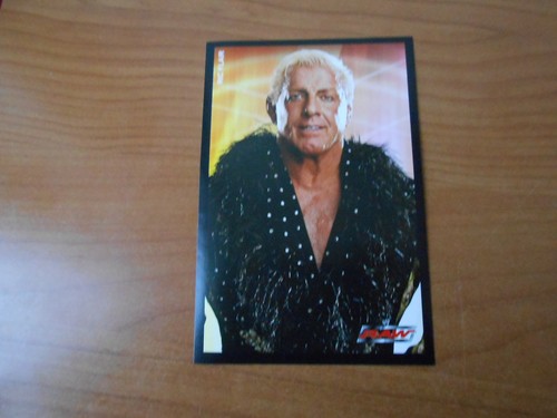 Figurina wrestling edigamma - figurina, ed.edigamma