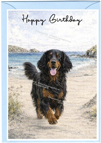 Biglietto compleanno cane