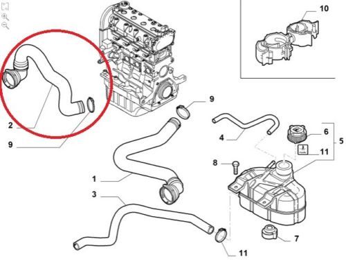 Manicotto radiatore fiat - manicotto,