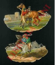 Ippologia - Ippica, galoppo.