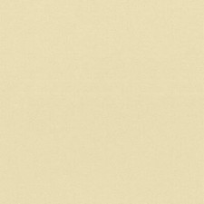 Gomma Crepla Tinta Carne