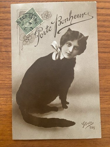 Rara cartolina gatto nero - gatto,