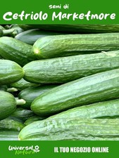25 Semi di Cetriolo Marketmore
