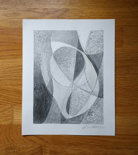 Disegno conchiglia astratto