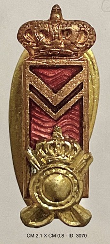 Regio esercito fanteria - esercito,