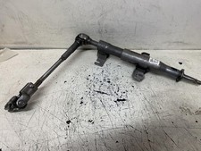 CANNA DELLO STERZO (PIANTONE)