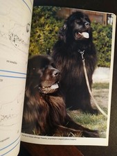 Libro Cane Le Terre-Neuve Il