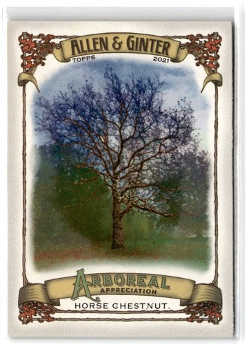 2021 topps allen ginter - 2021,