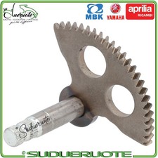 ALBERO SETTORE AVVIAMENTO
