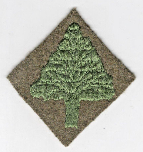 Ww1 army 91ª divisione - ww1,