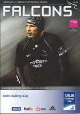 22 GEN 2010 NEWCASTLE FALCONS v PETRARCA PADOVA, COPPA SFIDA EUROPEA