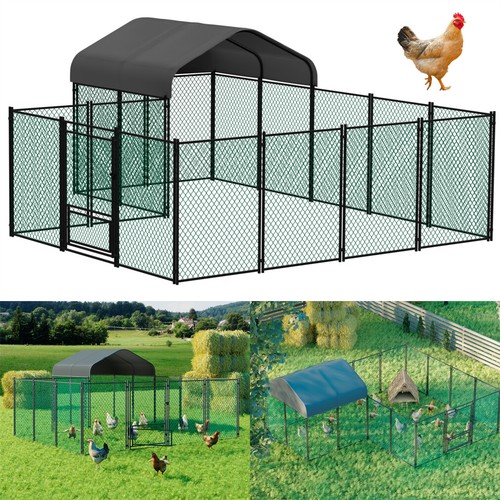 Pollaio 13x11ft antiruggine - 13x11ft,