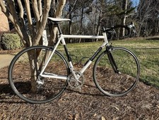 Pegoretti Marcelo 54 cm with