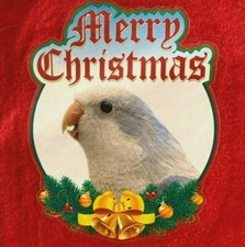 Calza natalizia uccellino