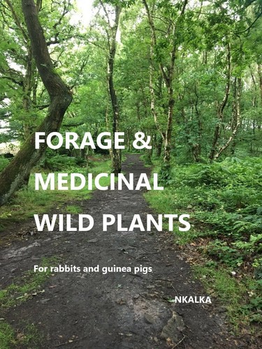 Forage and medicinal wild - and,
