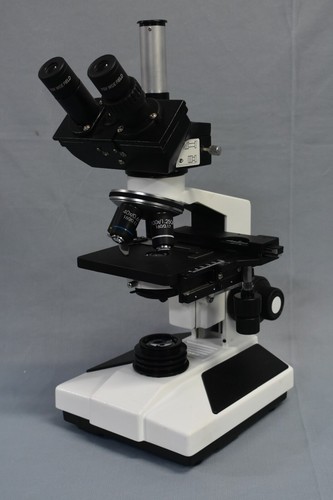 2500x microscopio clinico - 2500x,
