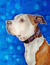 Acquerello cane Staffordshire