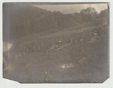 rare German photo stormtrupp