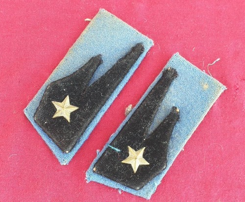 Coppia mostrine autieri - autieri,