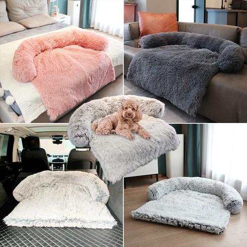 Cuccia per cani gatti animali - cani,