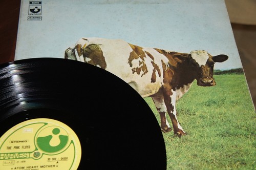 Pink floyd atom heart - pink,