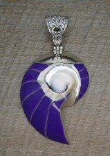 Splendido ciondolo in argento