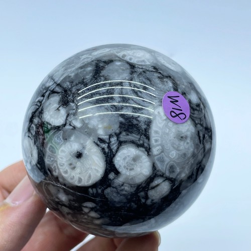 Sfera quarzo conchiglia - sfera, di