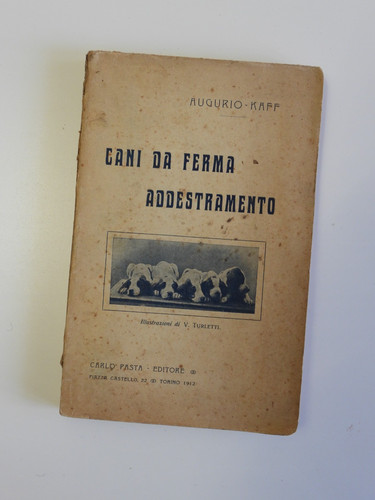 Augurio kaff - (felice, delfino)