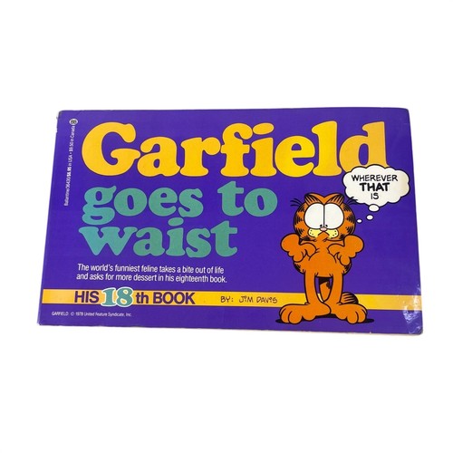 Vintage garfield vita - vintage, va