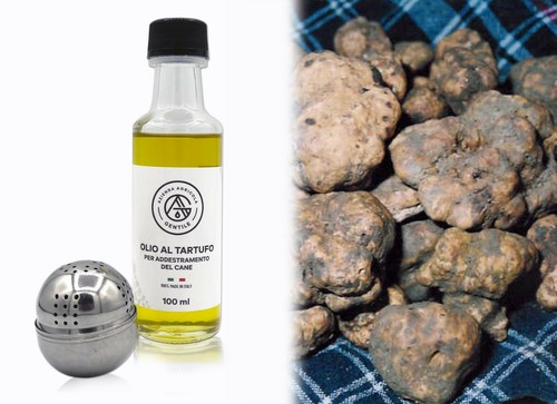 Olio tartufo per - tartufo,