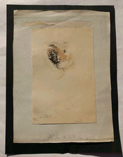 Silvano Scheiwiller disegno