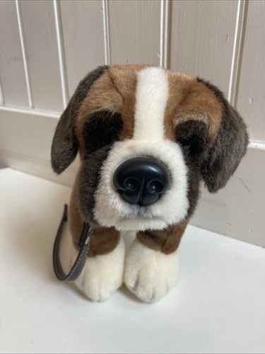 Chiglia giocattoli peluche - chiglia,