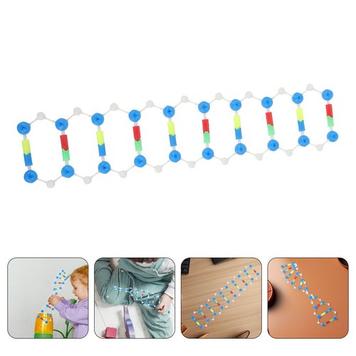 Kit dna struttura a - 2,