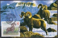 CANADA Sc #3129 MAXICARD con $4 FAUNA SELVATICA CANADESE DI ALTO VALORE - PECORA BIGHORN
