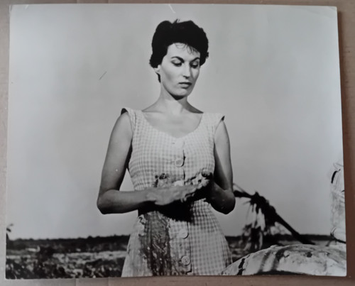 Original press photo - original,