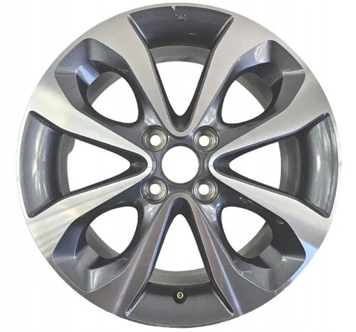 Cerchio lega 16 - 1,