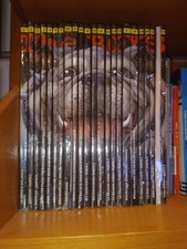 The boys fumetto serie