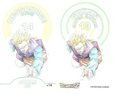 Dragon ball edizione - dragon,
