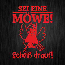 Era Un Gabbiano Scopare