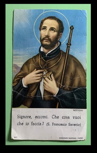 Santino san francesco saverio - santino,